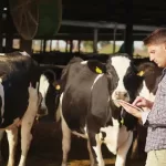 Il video di presentazione del nuovo logo Binda Cav. Rosolino